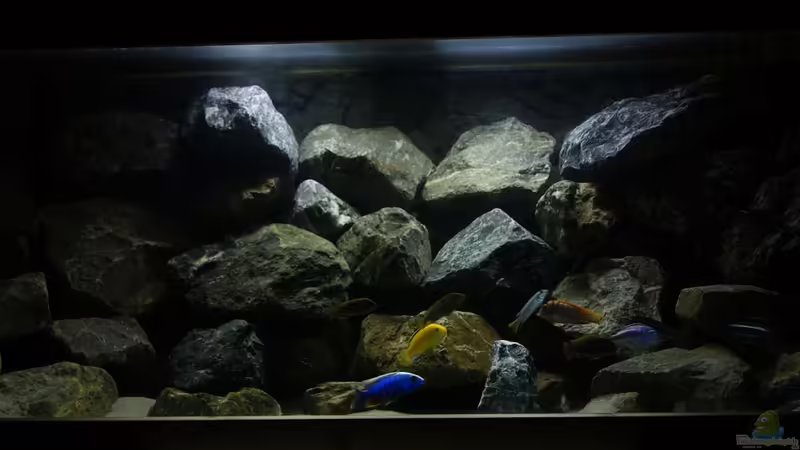 Neues Hauptbild - Mit neuer Einrichtung und überarbeitetem Besatz von Poybuna (1)