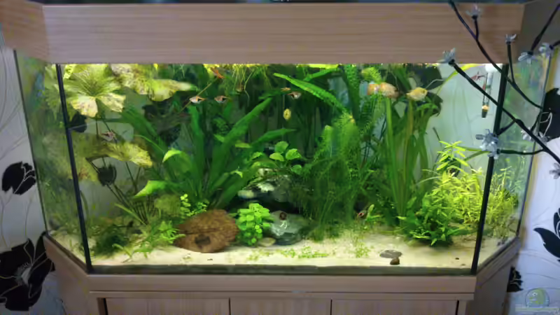 Neues Hauptbild  von m.k.b.1983 (1)