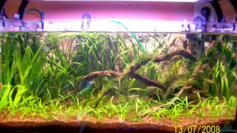 Neues Hauptbild 13.07.08 von Thomas Schmidt (1)