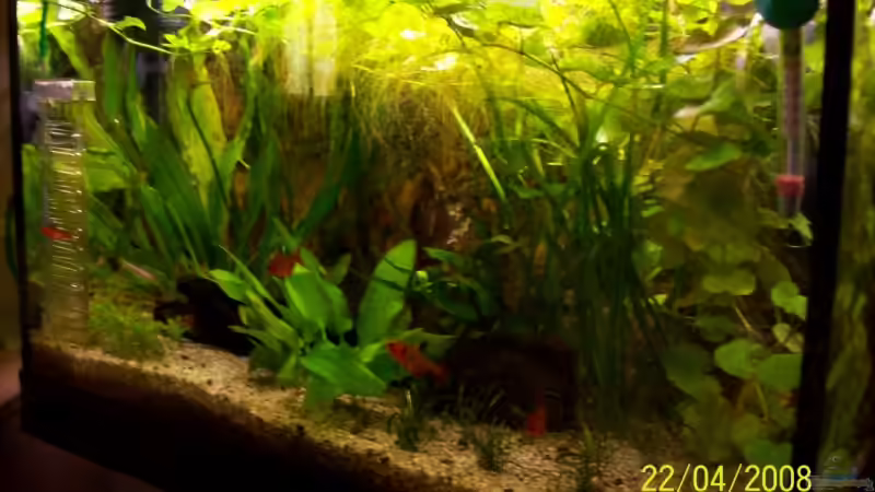 Neues Hauptbild 22.04.08 von Thomas Schmidt (1)