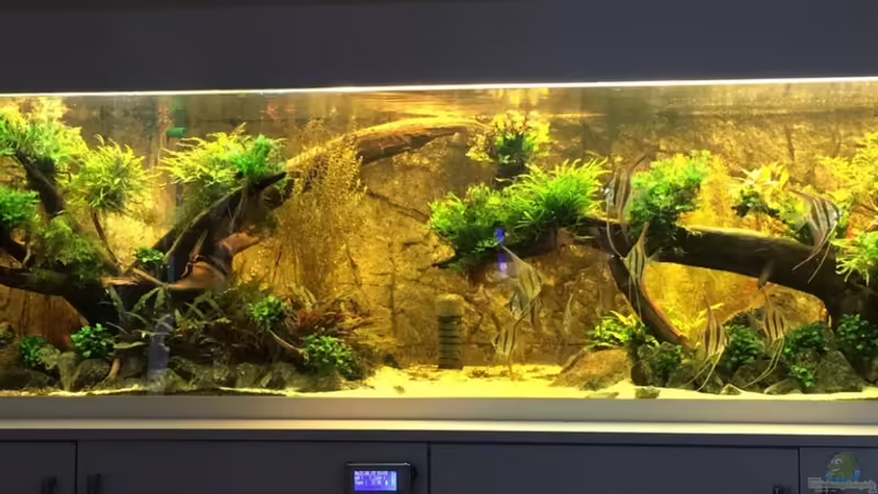 Neues Hauptbild 23.06.15 von Insulaner (1)