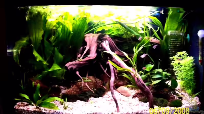 Neues Hauptbild 6.9.08 von Thomas Schmidt (1)