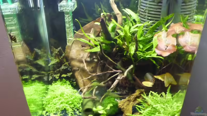 Neues Hauptbild am 7.2.2012 von Josef Braun (1)