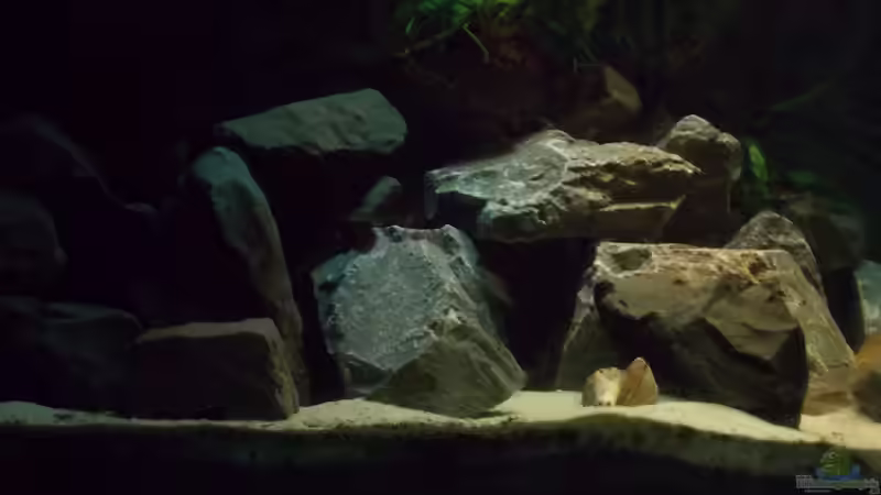 Neues Hauptbild mit LED Beleuchtung von Pierre (1)