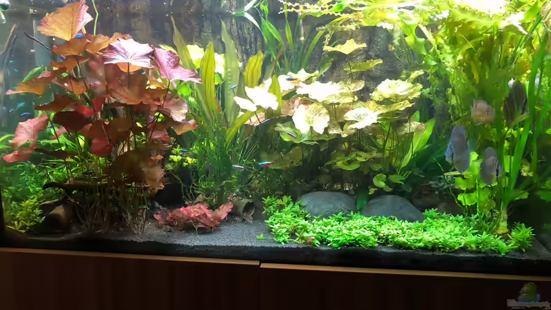 Neues Hauptbild nach Umstrukturierung