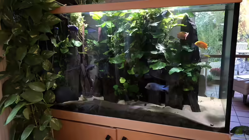 neues Hauptbild November 2018 von Vera Herrlich (10)