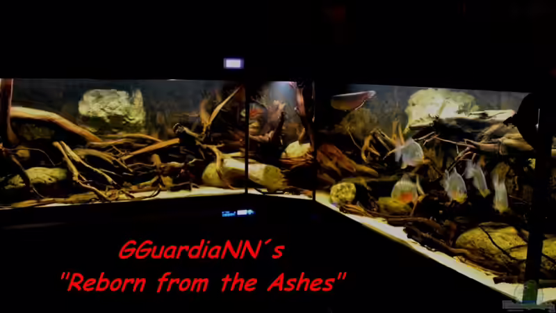 Neues Hauptbild vom 23.08.2013