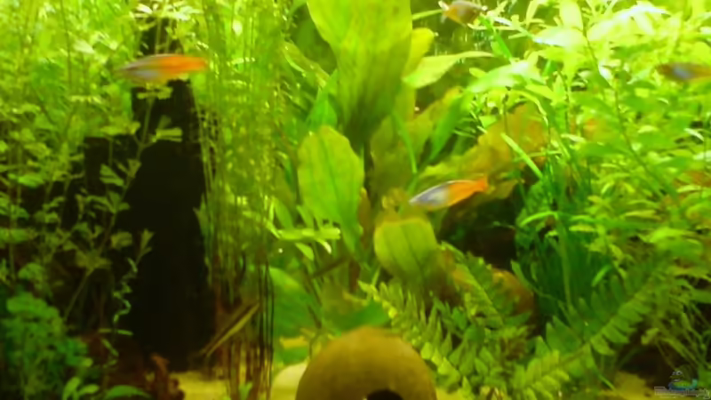 Neues Hauptbild von Moinski (1)