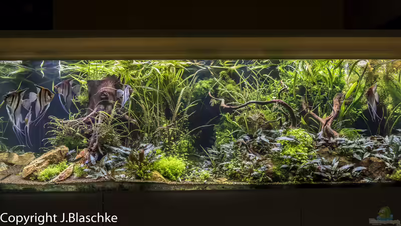 Neues Layout - 14-10-2020 von JARB (21)