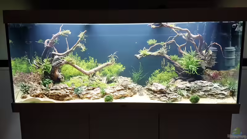 Neues Layout, nach 12 Stunden Umbau. Es fehlen noch ein paar Aufsitzer und etwas von Köllebärbling (5)