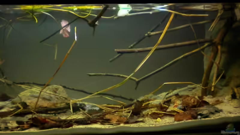 neues Layout 11.04.2011 von Benjamin Hamann (15)