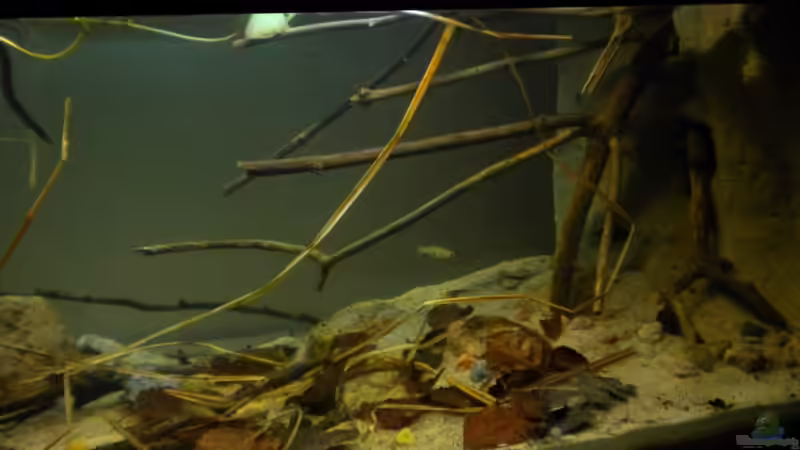 neues Layout 11.04.2011 von Benjamin Hamann (16)