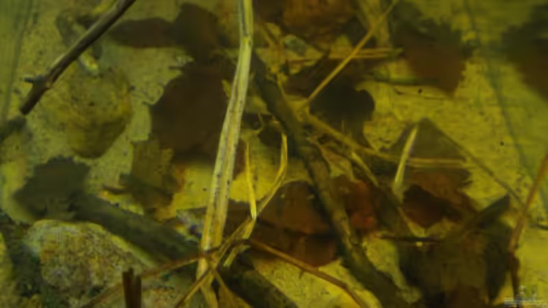 neues Layout 11.04.2011 von Benjamin Hamann (18)