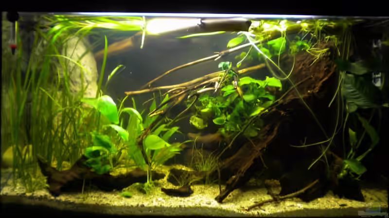 Neues Layout 25.11.2010 von Benjamin Hamann (10)