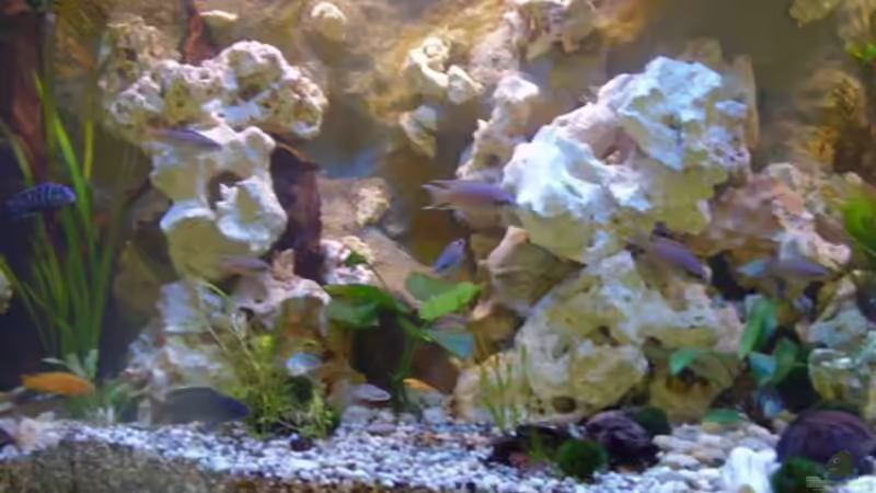 Neues Lochgestein 28.04.08  von Peters Laden (7)