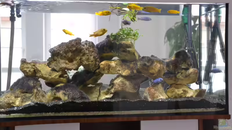 Neues Outfit. Nun notgedrungen als Raumteiler. von Mueller76 (1)