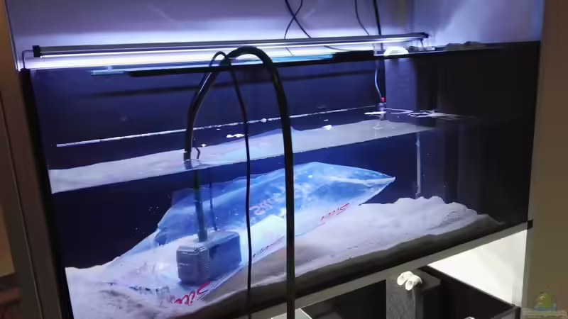 Neues Projekt: 4x 300 Liter fürs Büro