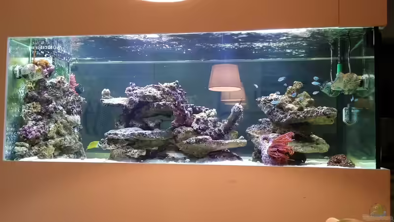 Neues Riff von slobe (51)