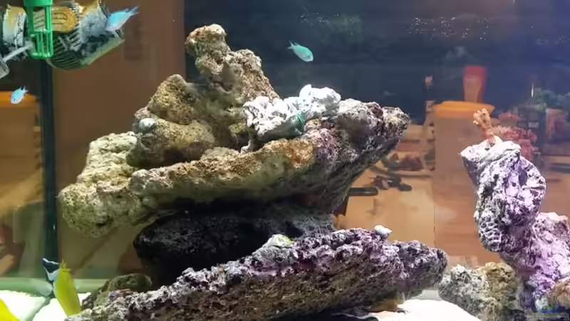 Neues Riff von slobe (53)