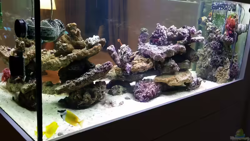 Neues Riff von slobe (54)