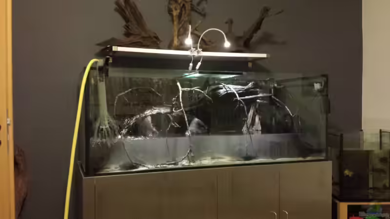 neues Setup von NRW (20)