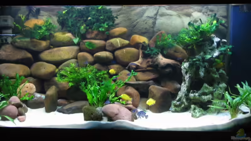 Neues Startbild nach umbau von Hans Ehlers (1)