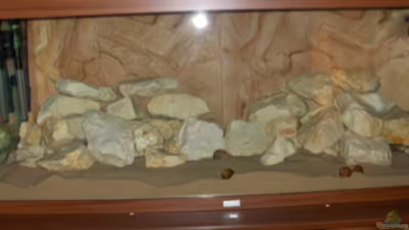 neues tanganijkabecken im entstehen