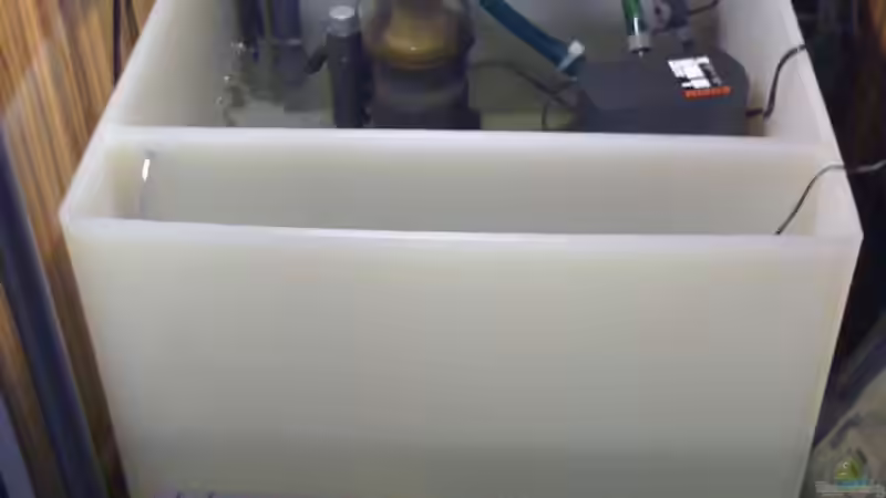 Neues Technikbecken mit 20l Osmosetank und Niveauregulierung von Alex Bühr (3)