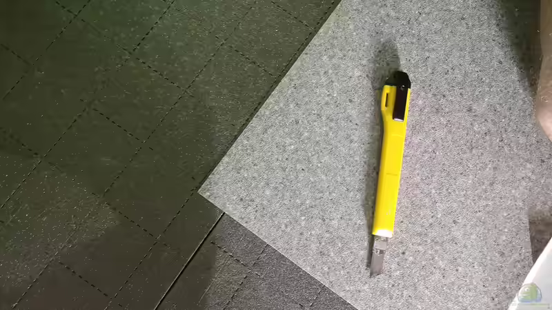 Neues Vinyl für den Zimmerboden von Cichliden-Kabuff (18)