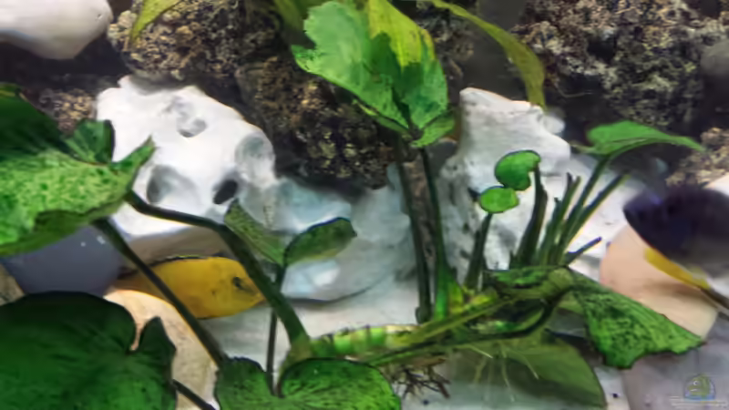 neues weisses loch gestein was schwärer ist  von benjamin (11)