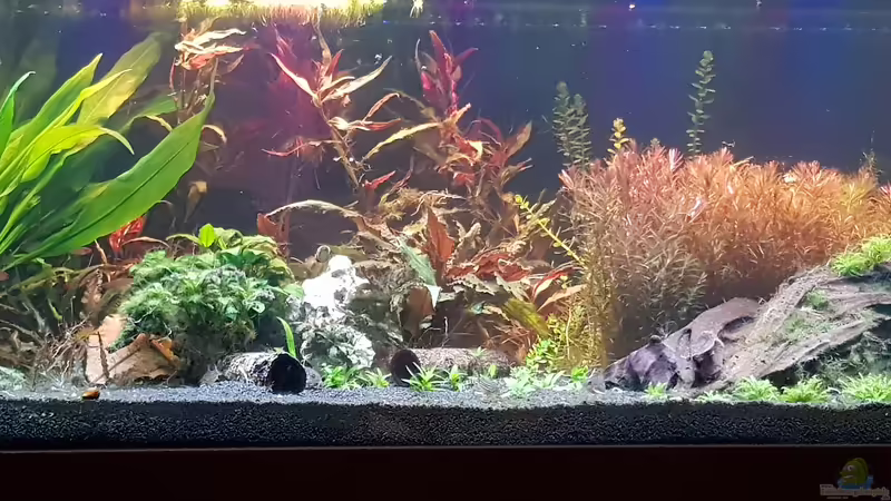 Neugestaltung 2/3 Mitte von Tabu (10)