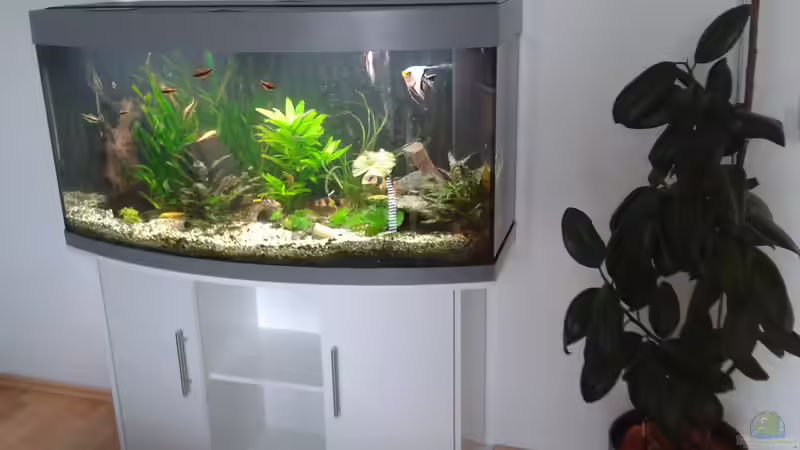 Neugestaltung 2014 von christian (2)