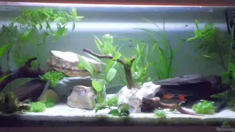 Neugestaltung 30.06.2013 von Rosa VonSick (1)