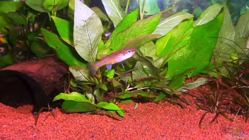 Neulinge auf Inspektion von Annett F. (6)