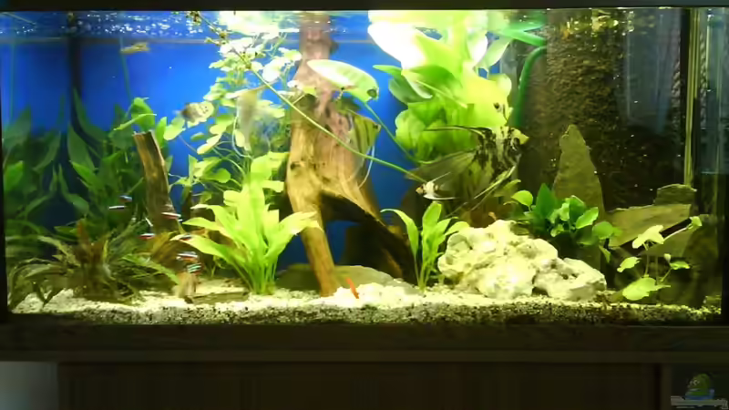 Neustart nach umzug. von ranger2332