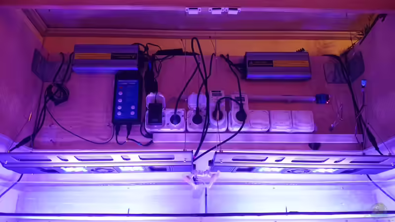 Neuste LED Technik von Maxspect von Manni1884 (28)