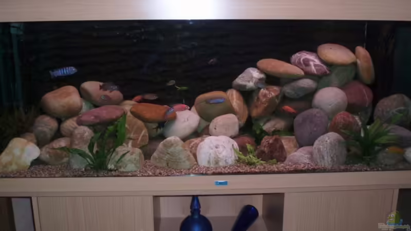 neustes Bild nach Umdekorierung