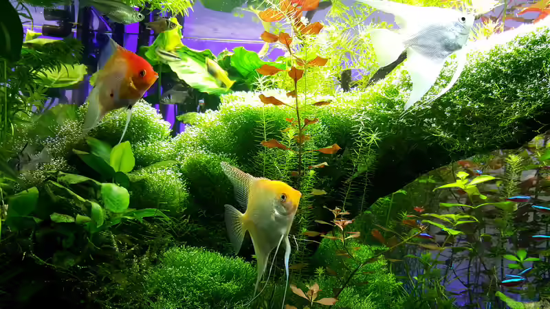 Neuzugänge vom 20.02.2016 von Sebastian Hartmann (123)