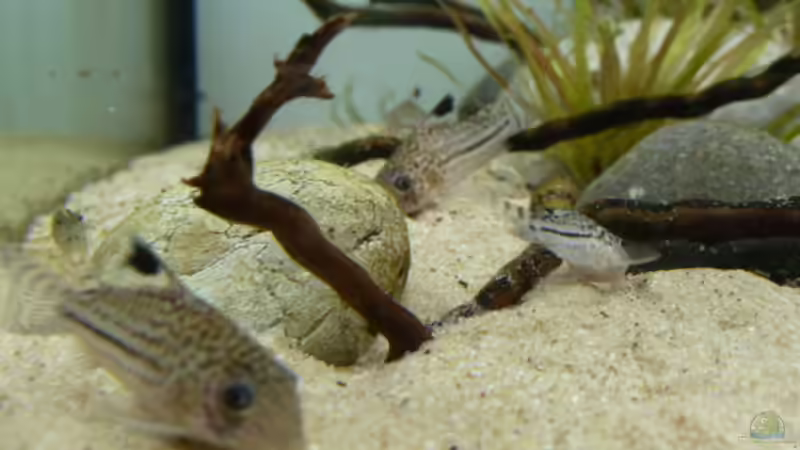 Neuzugänge von Martin W. (29)