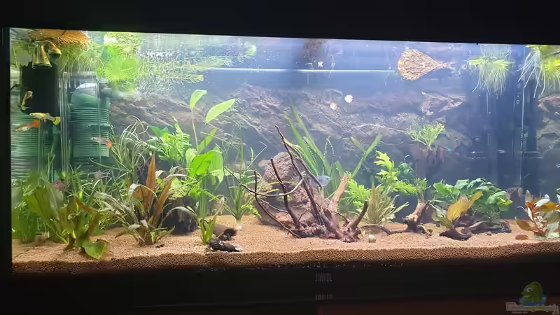 New Generation von Manuela&Mike (1)