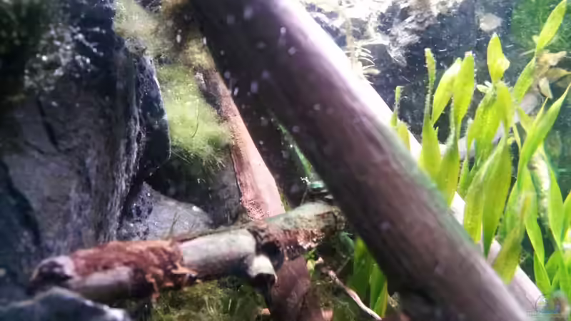 Newbie`s Waterworld von Newbie (14)