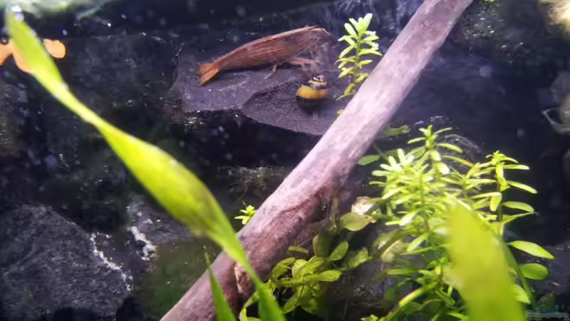 Newbies`s Waterworld von Newbie (16)