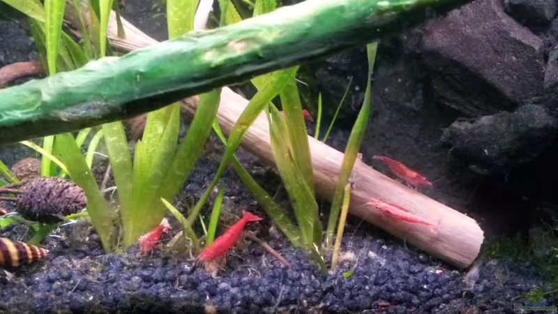 Newbies`s Waterworld von Newbie (17)