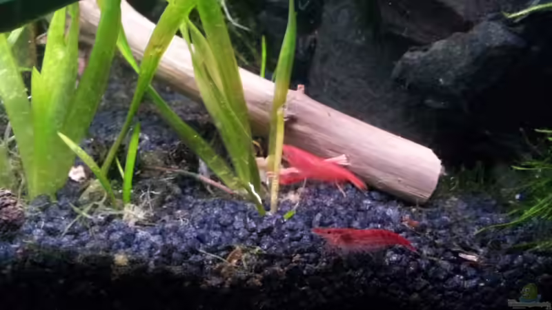 Newbies`s Waterworld von Newbie (2)