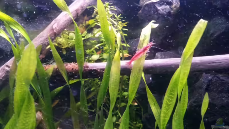 Newbies`s Waterworld von Newbie (4)