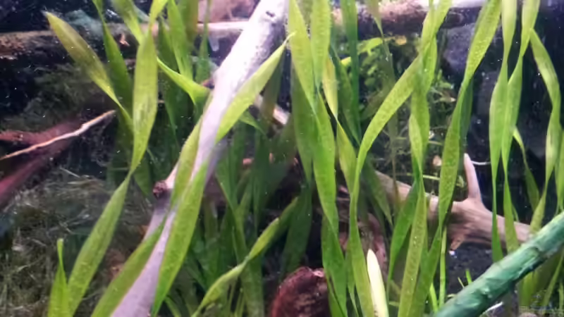 Newbies`s Waterworld von Newbie (5)