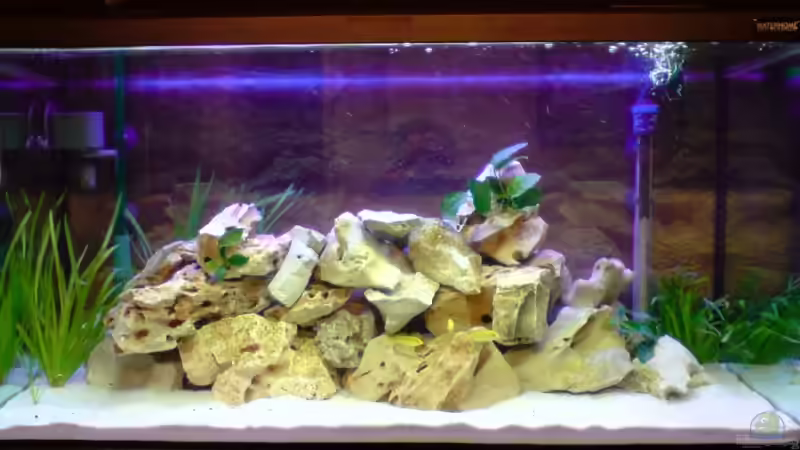 Nicht abgedunkelt von Julian S. (2)