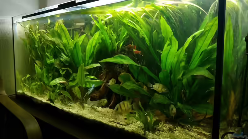 Nicht aktuell von David S. (2)