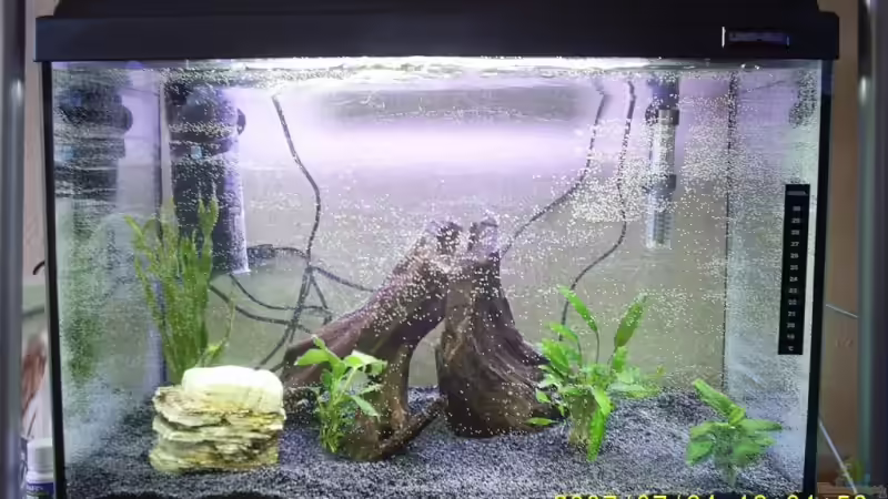 nicht aufs datum achten meine kamera spinnt da etwas von Cathrin Krause (3)