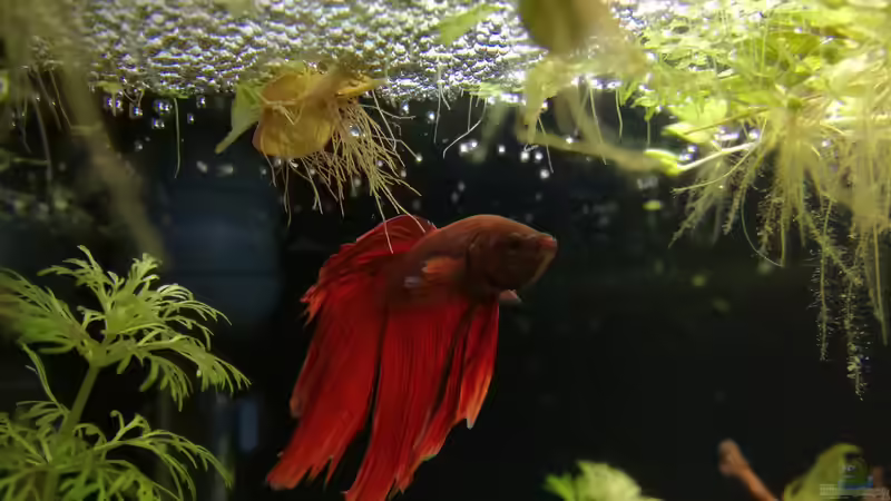 Nicht mehr aktuell  von Heike Fuchs (12)